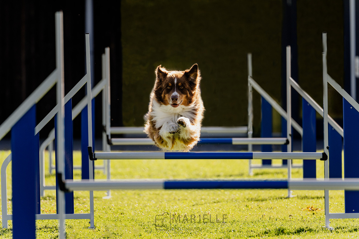 dsc08087-1 dsc08087-1