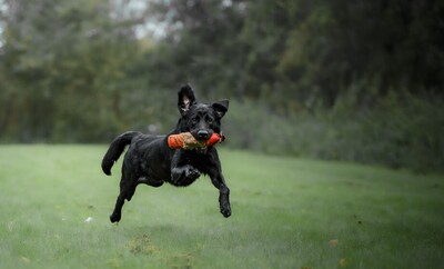 jacht24-01 jacht24-01